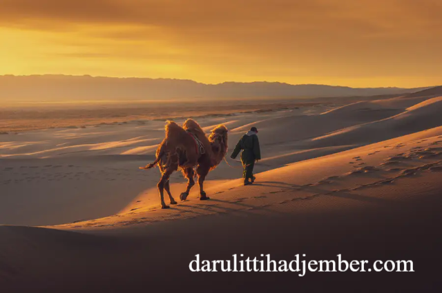 Petualangan Seru Gurun Gobi Mongolia